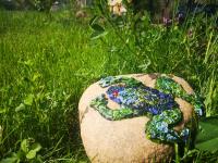 Asrtystyczna żaba na kamieniu 